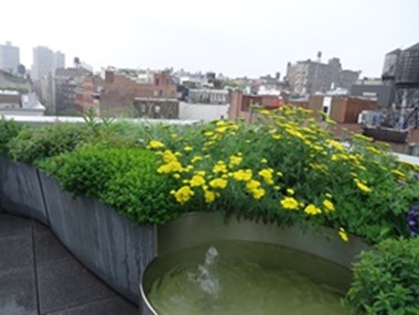 Broadway Terrace Water Feature