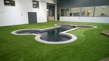 Unleashed Dog Hotel