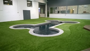 Unleashed Dog Hotel